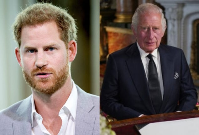 Prince Harry: King Charles' Silence After Security Case Prince Harry: King Charles' Silence After Security Case