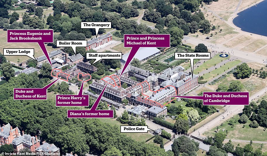 Prince William: A Pensive Portrait From Kensington Palace