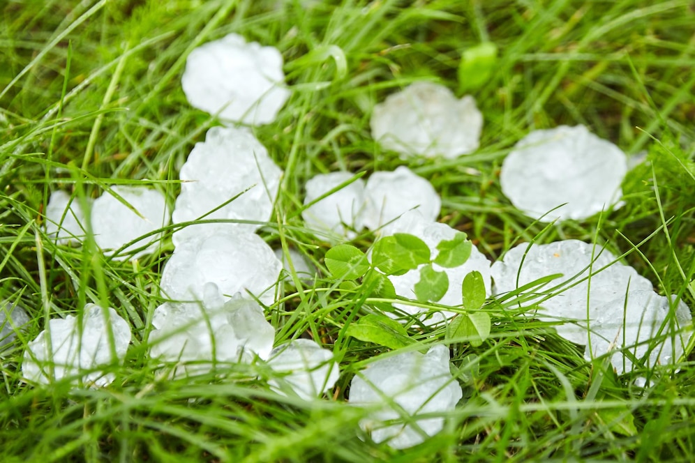 Protecting Your Investment: Pool And Lawn Care After A Hailstorm Protecting Your Investment: Pool And Lawn Care After A Hailstorm