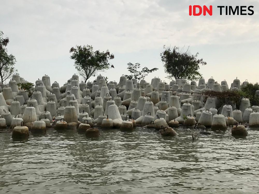 Proyek Giant Sea Wall: Peran AHY Dan Potensi Investasi China Proyek Giant Sea Wall: Peran AHY Dan Potensi Investasi China