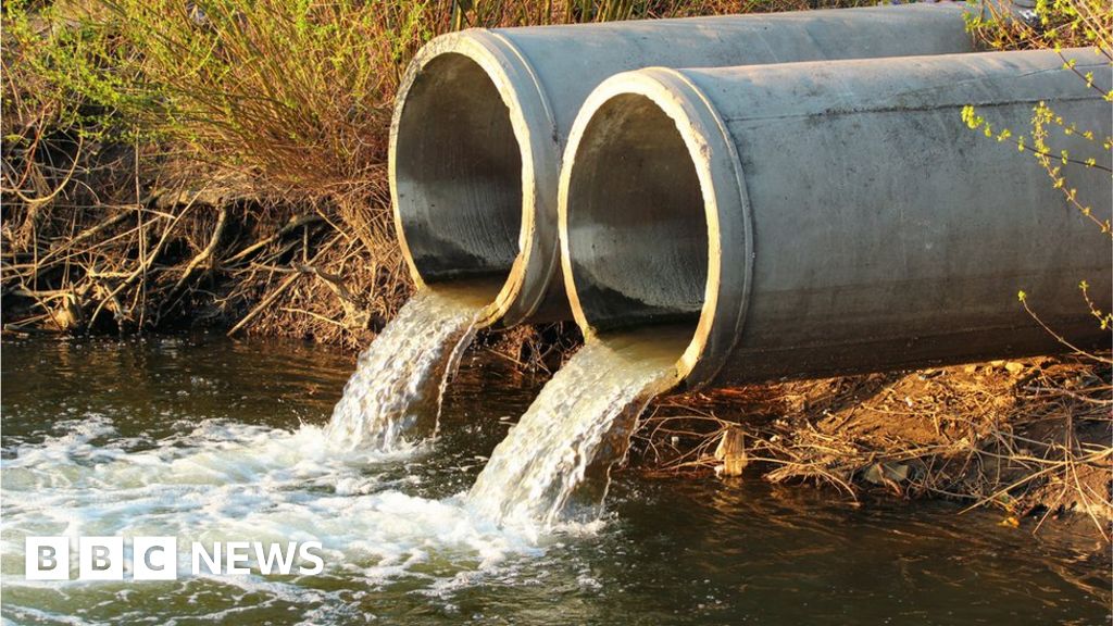Public Anger Over Thames Water Executive Bonuses: A Detailed Report Public Anger Over Thames Water Executive Bonuses: A Detailed Report