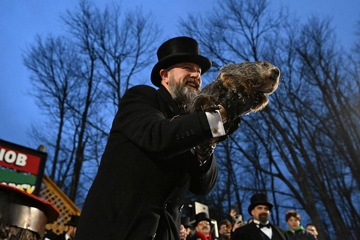 Punxsutawney Phil's Child's First Birthday Celebration Punxsutawney Phil's Child's First Birthday Celebration
