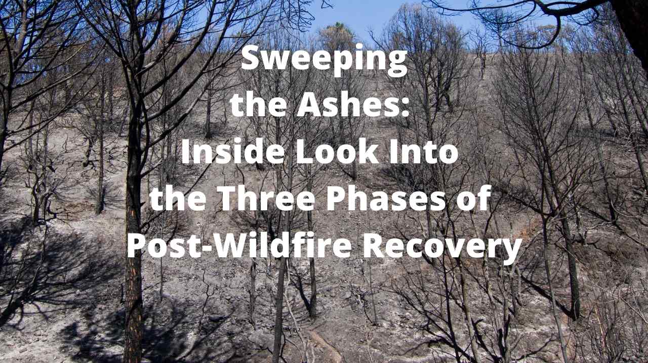 Rebuilding After The Inferno: The Texas Panhandle's Post-Wildfire Recovery Rebuilding After The Inferno: The Texas Panhandle's Post-Wildfire Recovery