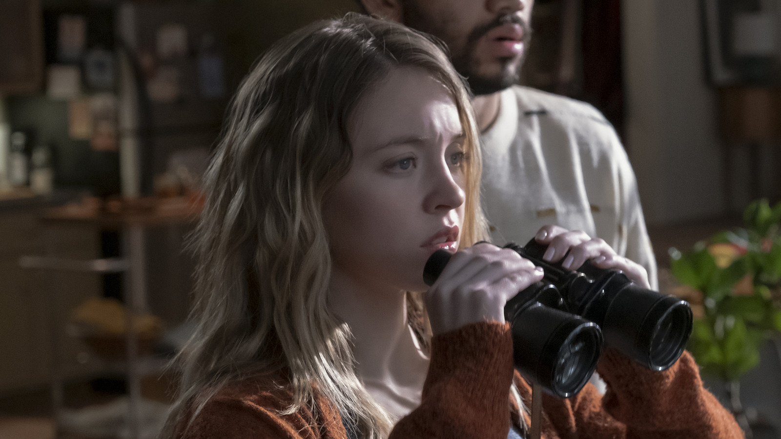 Redditova Priča Postaje Film Sa Sydney Sweeney Redditova Priča Postaje Film Sa Sydney Sweeney