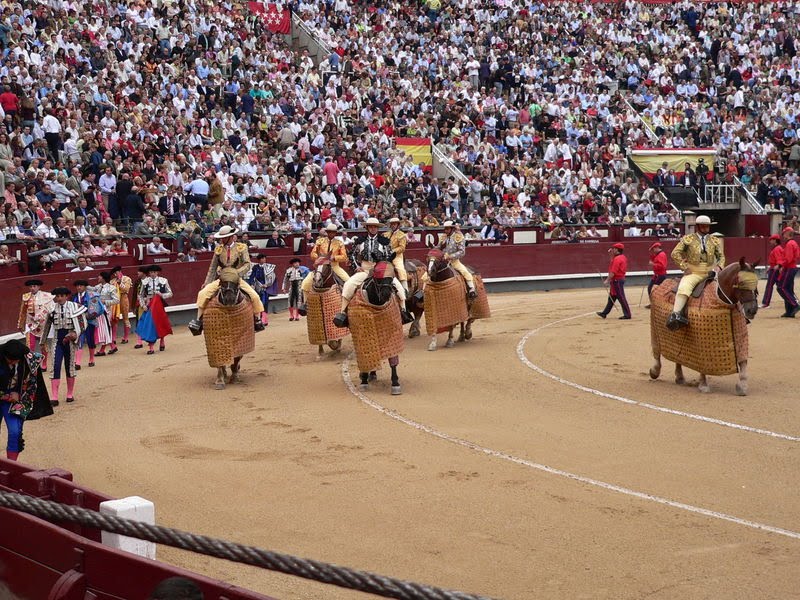 Regalo Presidencial: Tres Toros De Uruguay Para China Regalo Presidencial: Tres Toros De Uruguay Para China