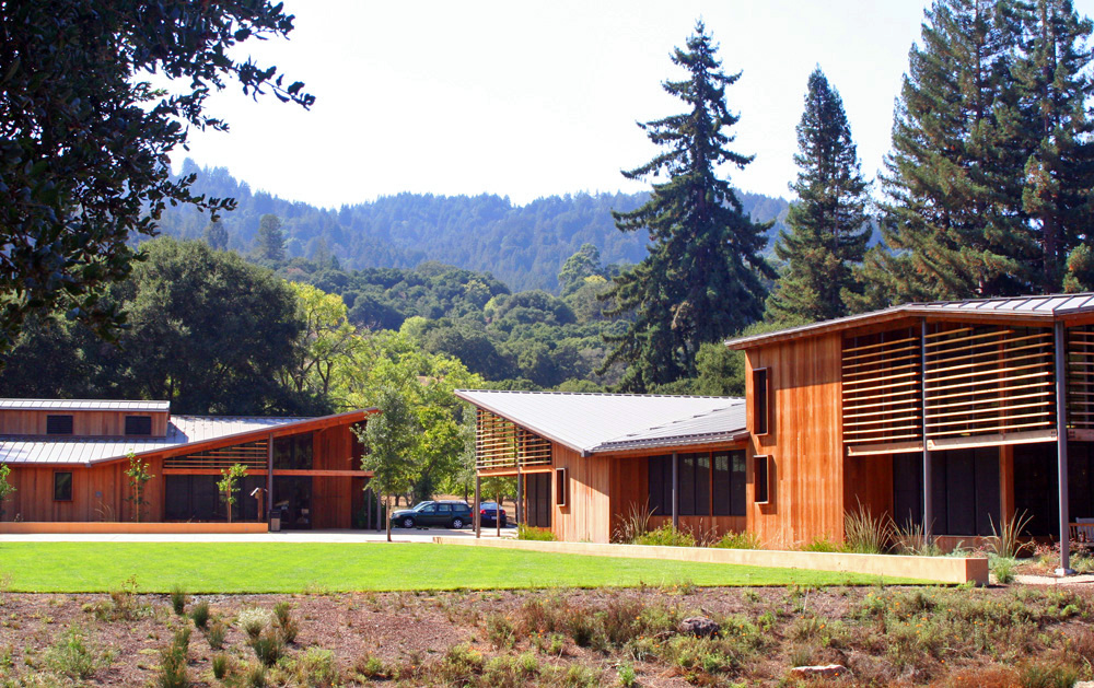 Remembering Sue Crane: A Life Of Service To Portola Valley Remembering Sue Crane: A Life Of Service To Portola Valley