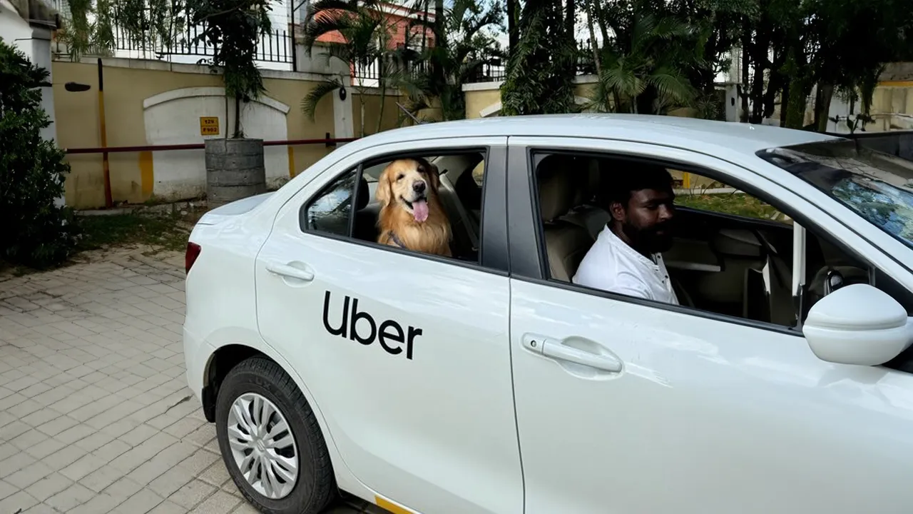 Ride With Your Pet: Uber Pet Launches In Delhi And Mumbai Ride With Your Pet: Uber Pet Launches In Delhi And Mumbai