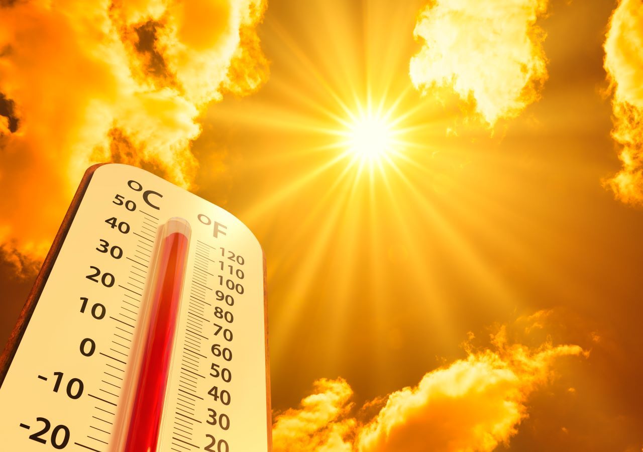 Rising Global Temperatures And Increased Wildfires: A Critical Look At Forest Loss Rising Global Temperatures And Increased Wildfires: A Critical Look At Forest Loss
