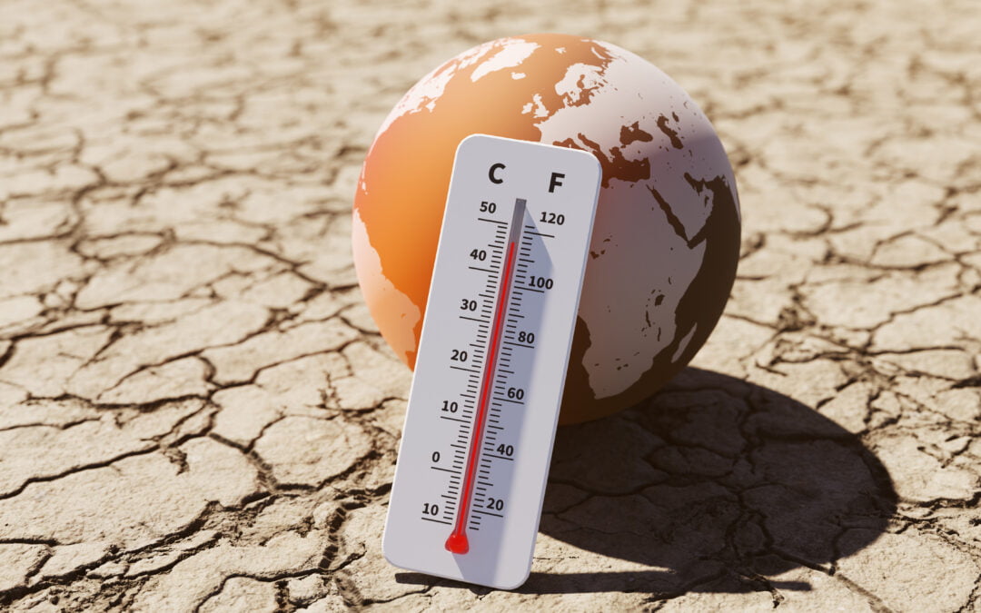 Rising Temperatures In South Bengal: Near 38°C On Holi Day Rising Temperatures In South Bengal: Near 38°C On Holi Day