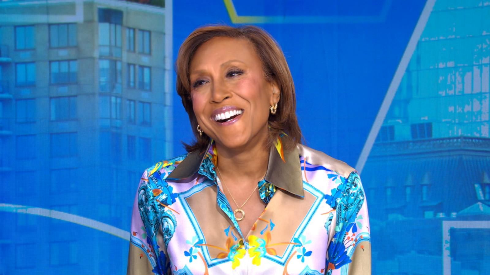 Robin Roberts Welcomes New Family Member On Good Morning America Robin Roberts Welcomes New Family Member On Good Morning America