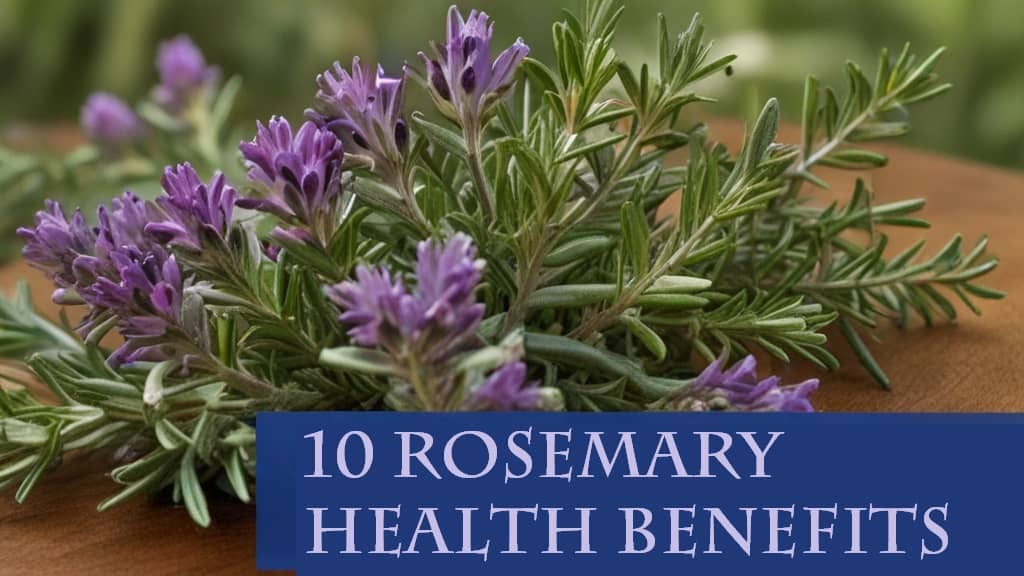 Rosemary & Thyme: Benefits For Health And Well-being Rosemary & Thyme: Benefits For Health And Well-being