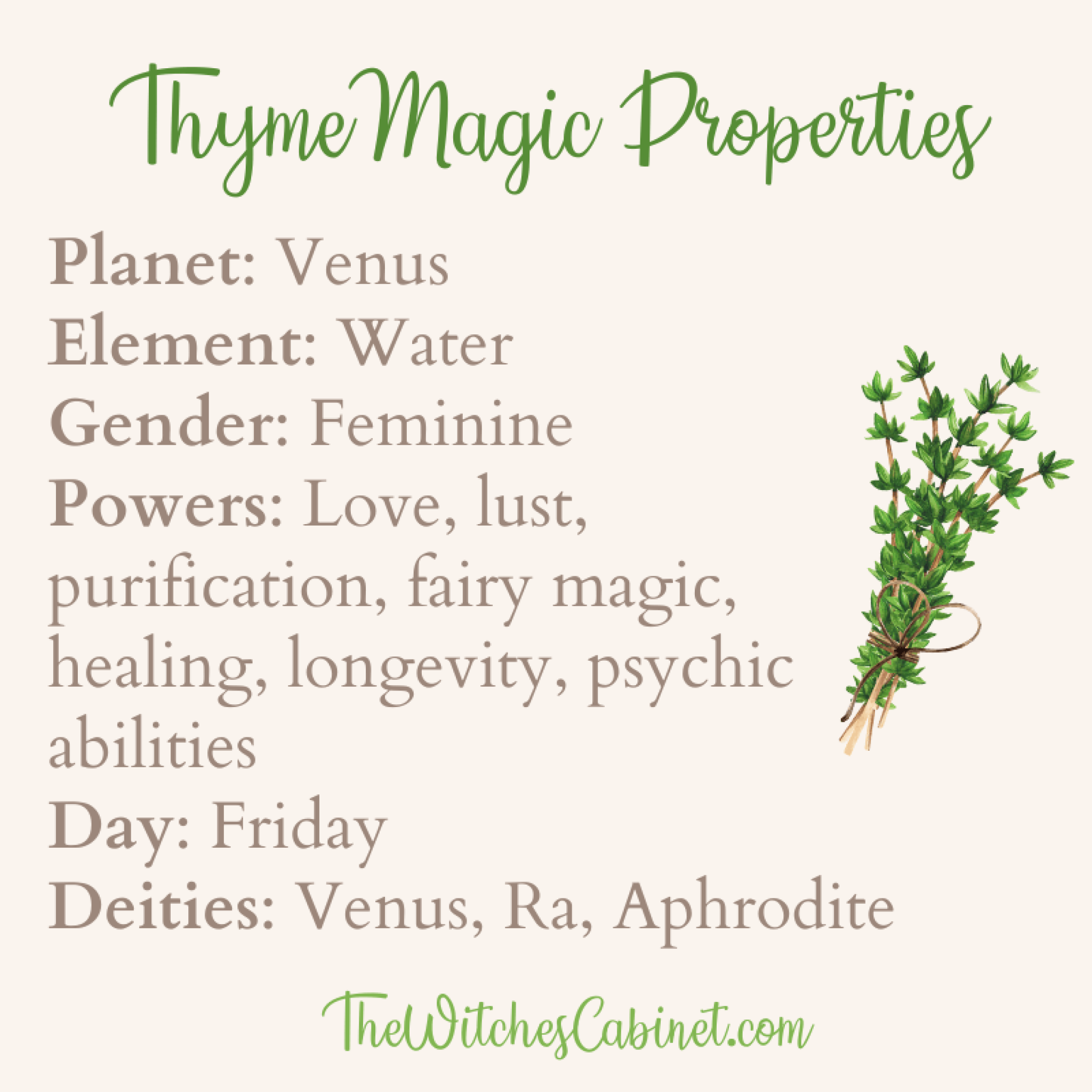 Rosemary & Thyme: Uses, Benefits, And Recipes Rosemary & Thyme: Uses, Benefits, And Recipes