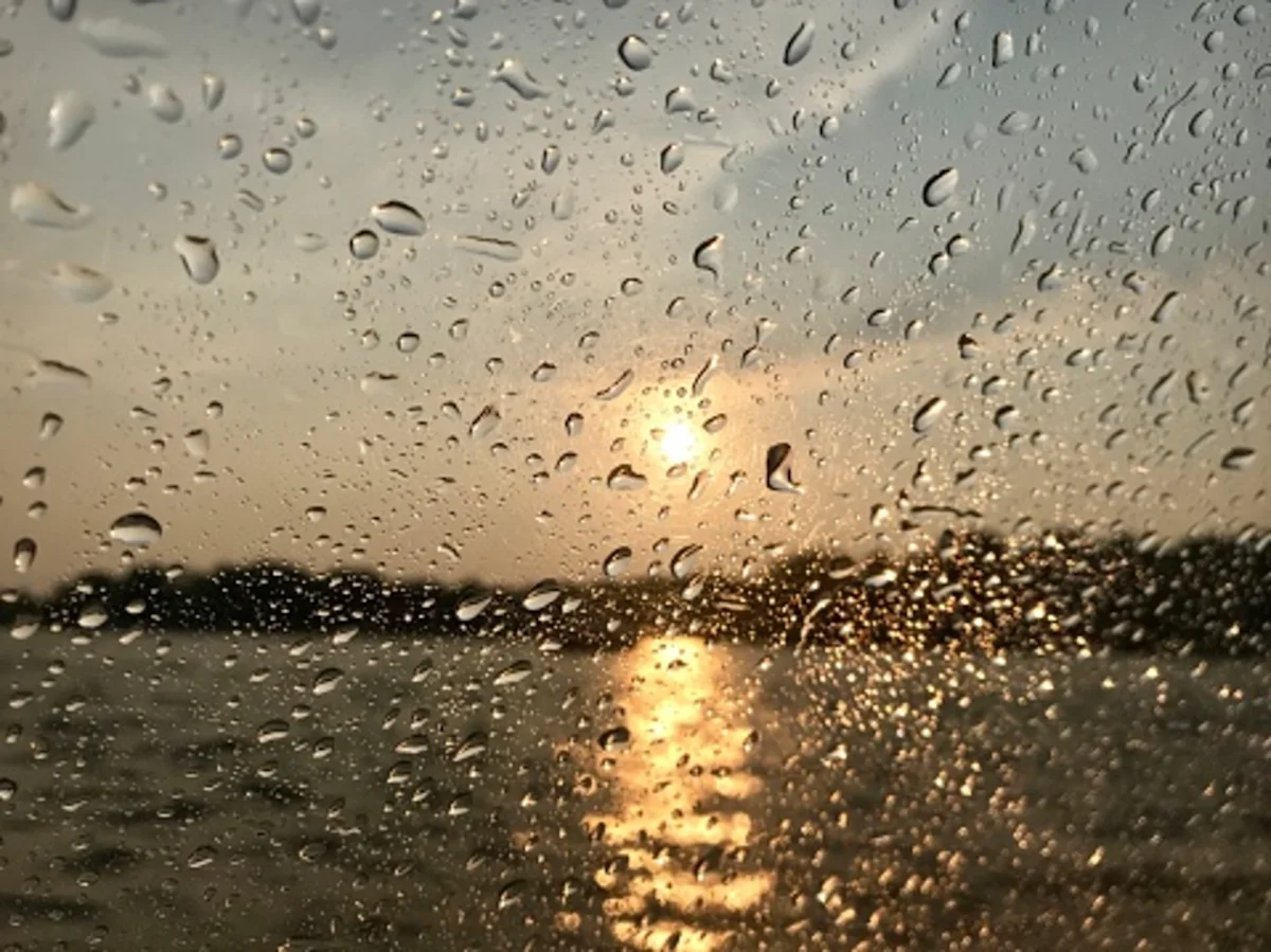 Seattle Weekend Weather Forecast: Expect More Rain Seattle Weekend Weather Forecast: Expect More Rain