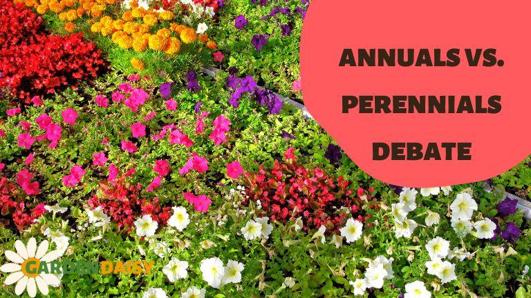 Should You Plant Annuals Or Perennials? A Practical Comparison Should You Plant Annuals Or Perennials? A Practical Comparison