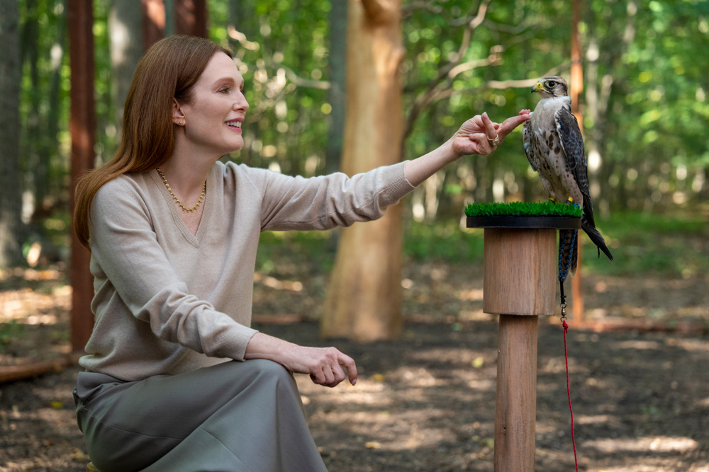 Siren: Julianne Moore, Meghann Fahy & Milly Alcock Lead Netflix's Dark Comedy Siren: Julianne Moore, Meghann Fahy & Milly Alcock Lead Netflix's Dark Comedy