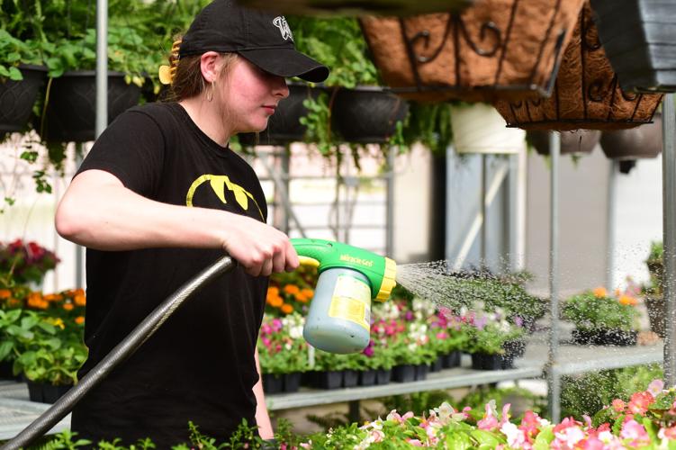 South Harrison FFA Achieves Outstanding Agricultural Program Status For Fourth Straight Year South Harrison FFA Achieves Outstanding Agricultural Program Status For Fourth Straight Year