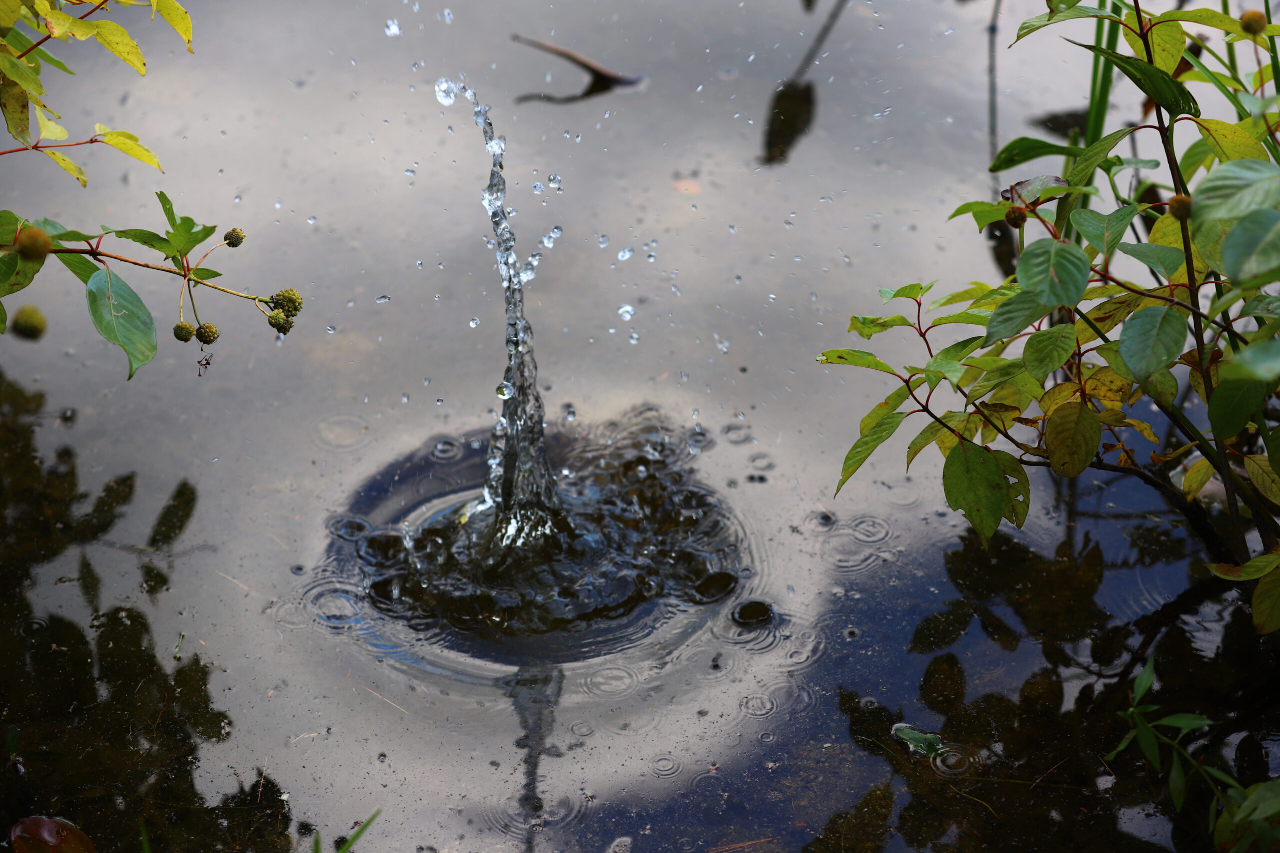 Student Loan Debt Crisis: Economic Ripple Effects Student Loan Debt Crisis: Economic Ripple Effects