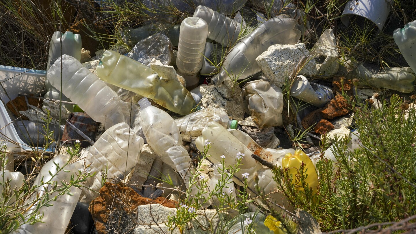 Study Links Chemicals In Household Plastics To Increased Heart Disease Deaths