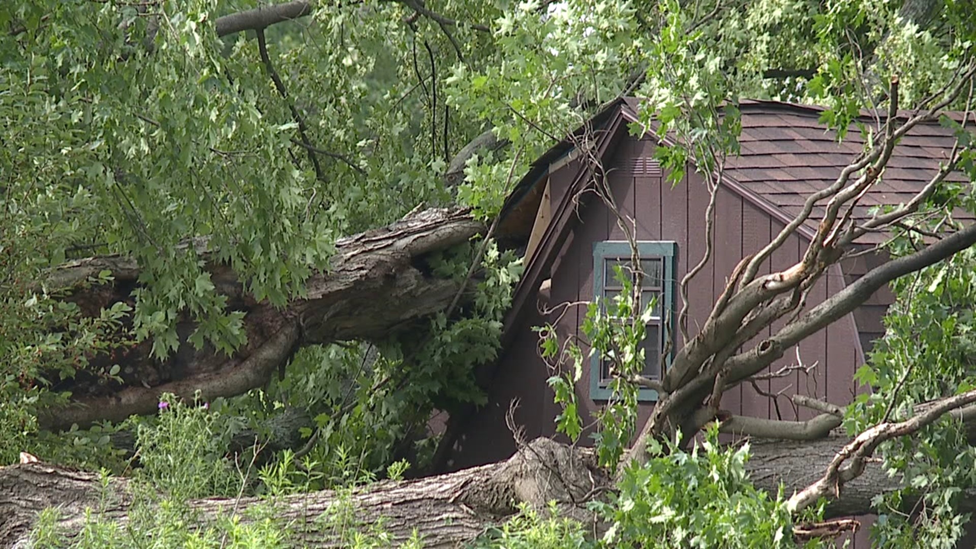 Susquehanna Valley Storm Damage: Prevention, Preparation, And Response Susquehanna Valley Storm Damage: Prevention, Preparation, And Response