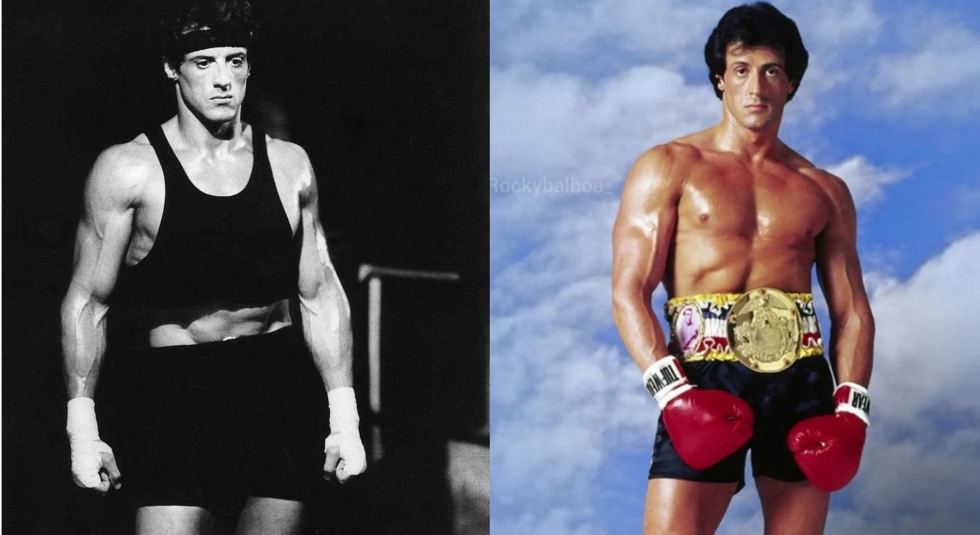 Sylvester Stallone A Visité Mon Atelier : Exposition De L'artiste Mondialement Connue Sylvester Stallone A Visité Mon Atelier : Exposition De L'artiste Mondialement Connue