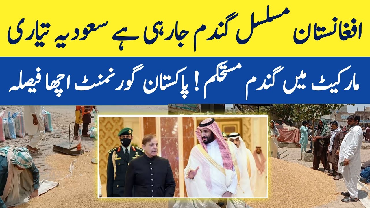 ٹام کروز کی ڈیٹنگ لائف: تازہ ترین اپ ڈیٹس ٹام کروز کی ڈیٹنگ لائف: تازہ ترین اپ ڈیٹس