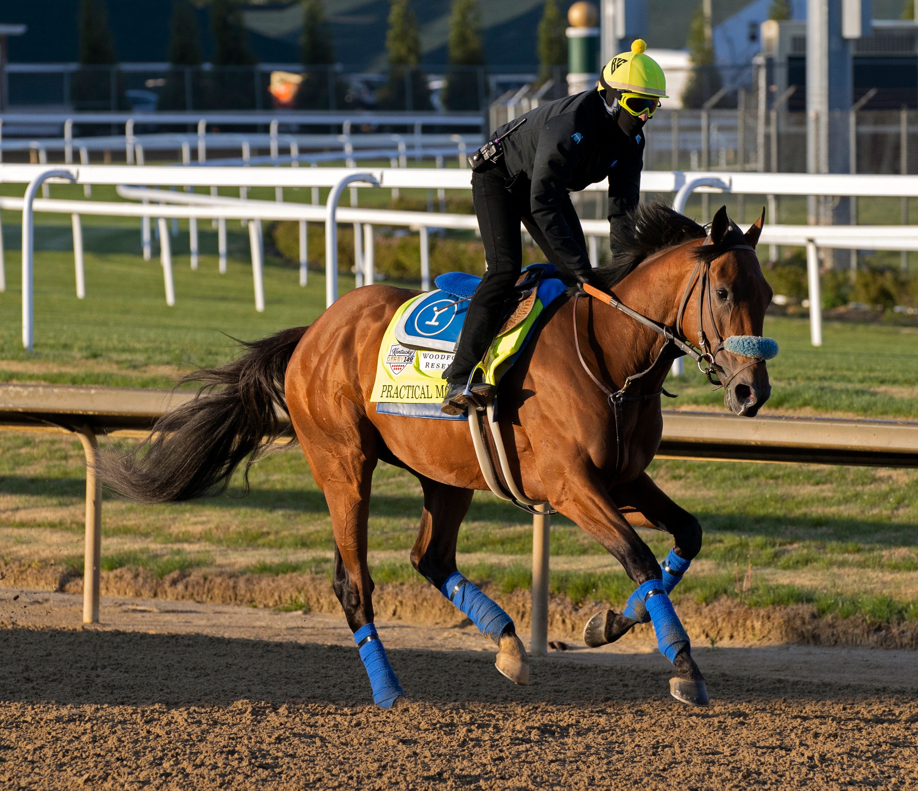Tampa Bay Derby 2025: Betting Odds, Potential Field, And Kentucky Derby Outlook Tampa Bay Derby 2025: Betting Odds, Potential Field, And Kentucky Derby Outlook