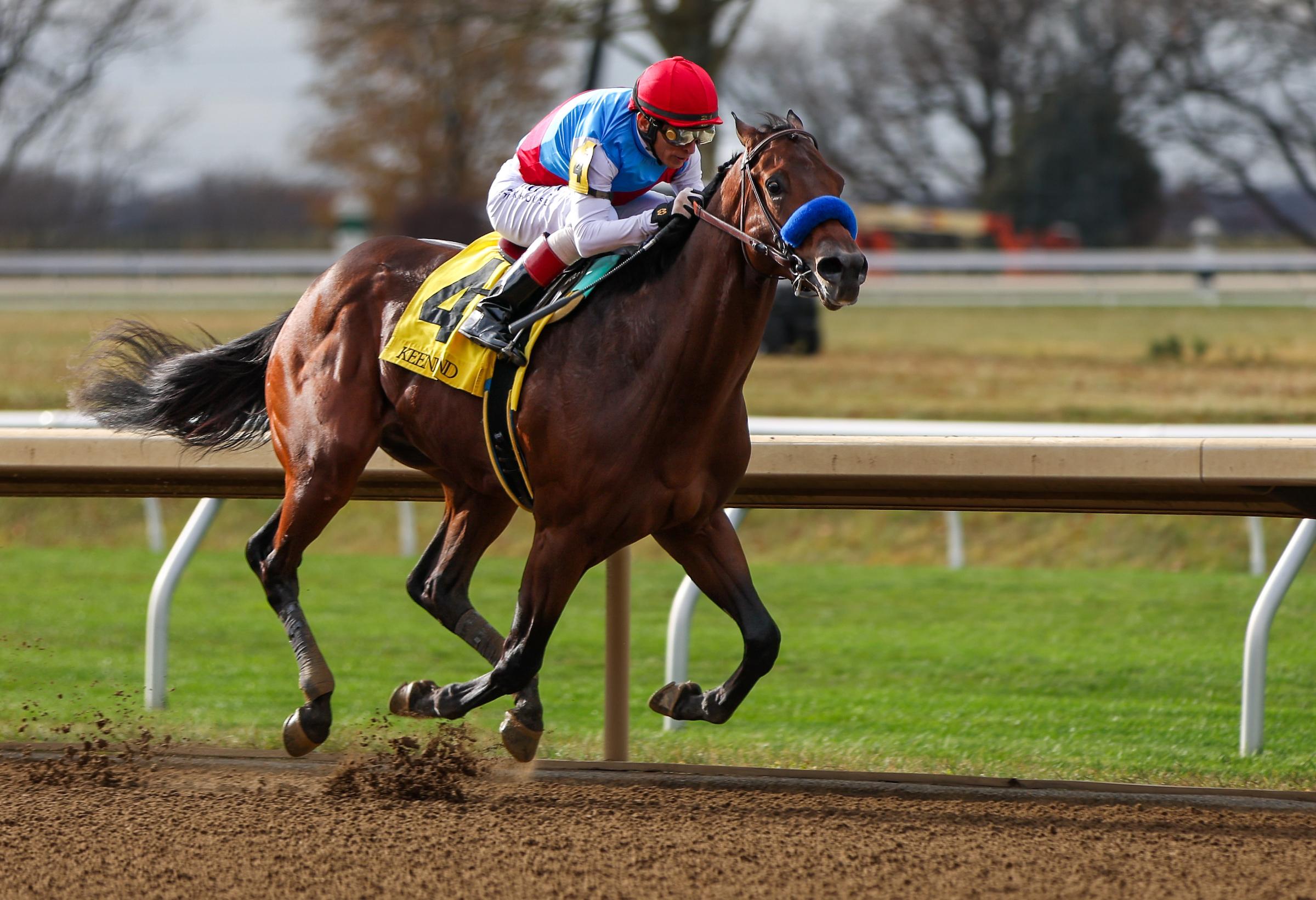 Tampa Bay Derby Odds 2025: Analyzing The Field And Predicting Kentucky Derby Hopefuls Tampa Bay Derby Odds 2025: Analyzing The Field And Predicting Kentucky Derby Hopefuls