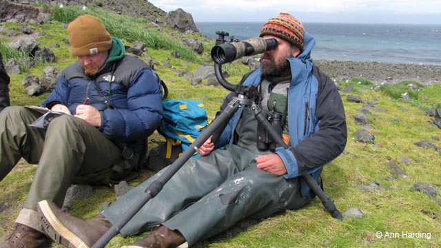 Te Ipukarea Society's Study Of Understudied Seabird Species