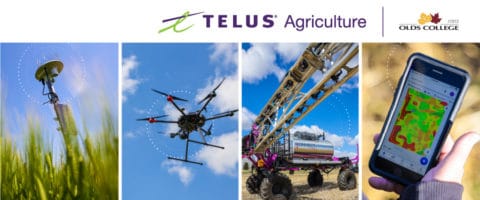Telus Invests In Network Infrastructure: A Five-Year Funding Plan Telus Invests In Network Infrastructure: A Five-Year Funding Plan