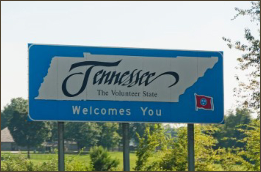Tennessee Volunteers Rout Indiana State Sycamores, 12-1 Tennessee Volunteers Rout Indiana State Sycamores, 12-1