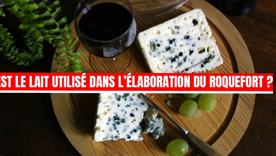 Testez Vos Connaissances Sur La Loire-Atlantique : Histoire, Gastronomie Et Culture - Quiz Testez Vos Connaissances Sur La Loire-Atlantique : Histoire, Gastronomie Et Culture - Quiz