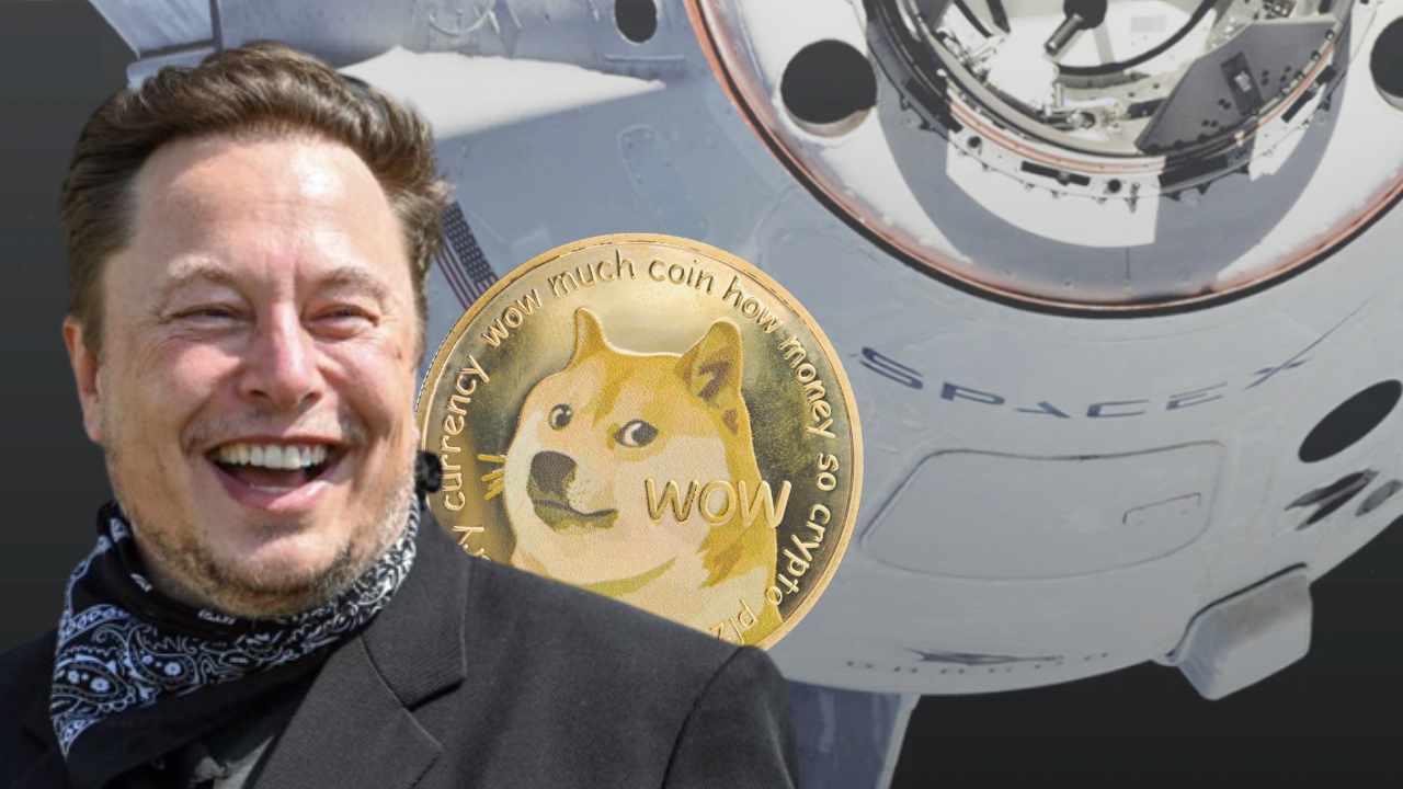 The EPA Vs. Elon Musk: The Impact On Tesla, SpaceX, And Dogecoin The EPA Vs. Elon Musk: The Impact On Tesla, SpaceX, And Dogecoin