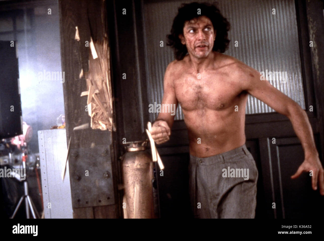 The Fly: Jeff Goldblum's Transcendent Performance And The Academy's Oversight The Fly: Jeff Goldblum's Transcendent Performance And The Academy's Oversight