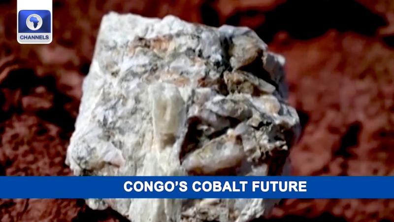 The Future Of Cobalt: Assessing Congo's New Export Policy And Market Implications The Future Of Cobalt: Assessing Congo's New Export Policy And Market Implications
