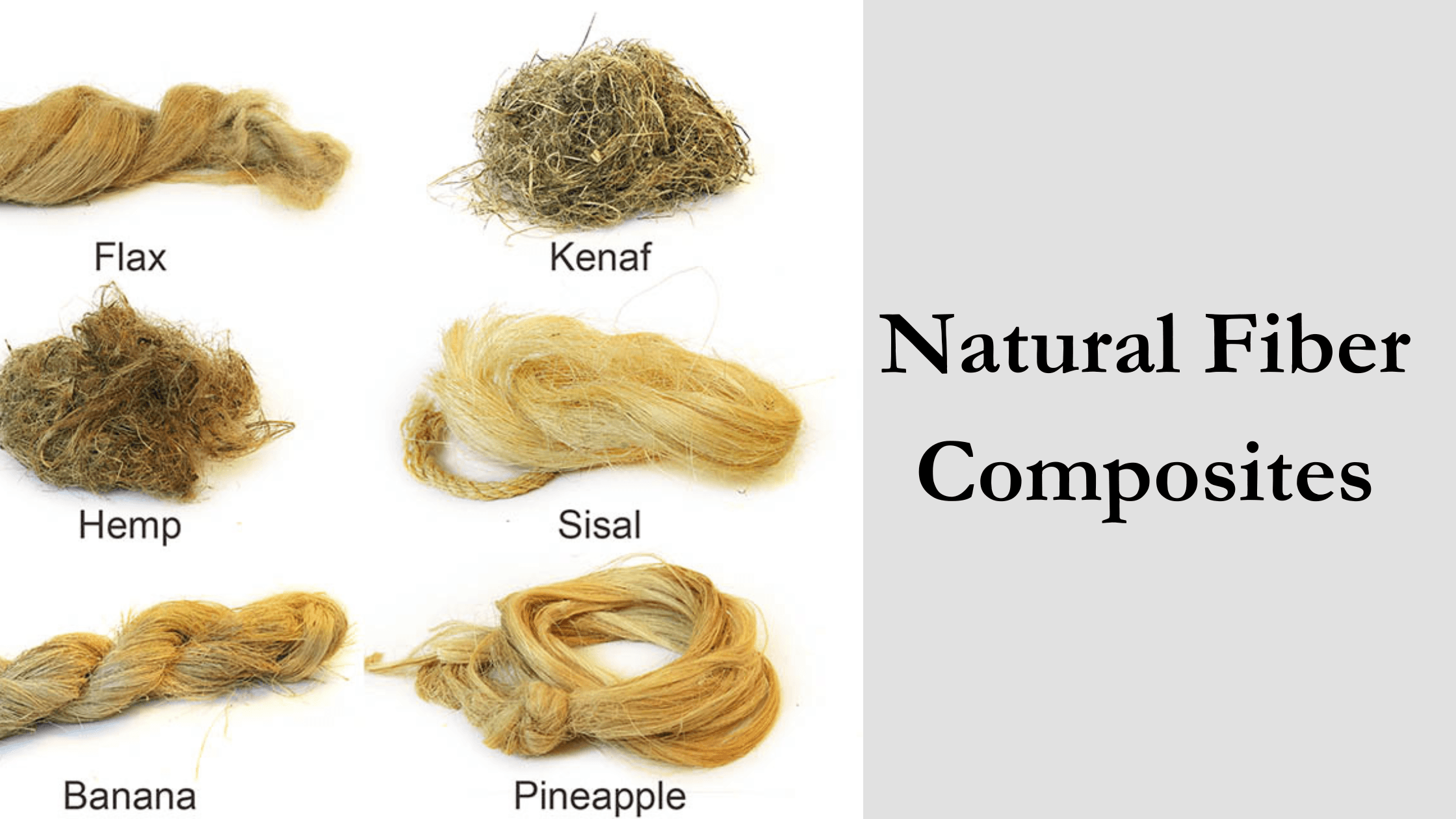The Future Of Natural Fiber Composites: Global Market Forecast To 2029 The Future Of Natural Fiber Composites: Global Market Forecast To 2029