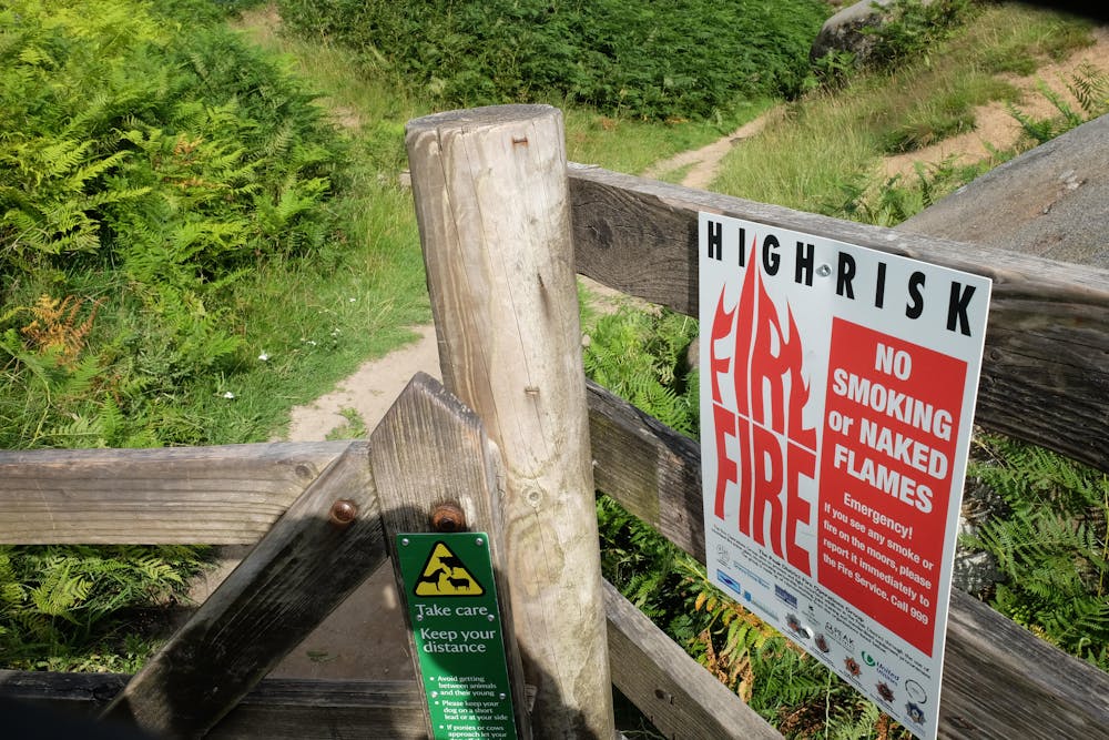 The Impact Of Wildfires On The UK's Most Endangered Animals The Impact Of Wildfires On The UK's Most Endangered Animals