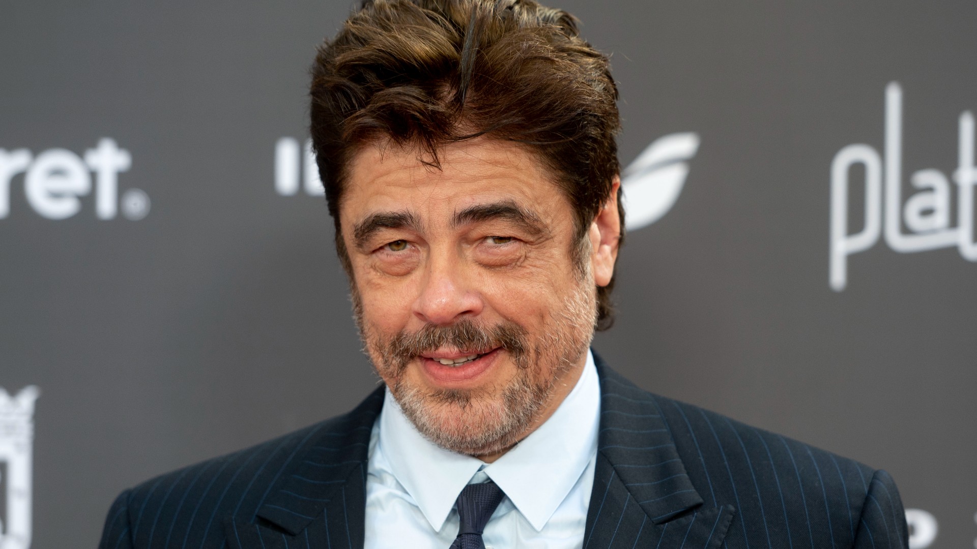 The Intricate Scheme: A Gift Meant For Benicio Del Toro