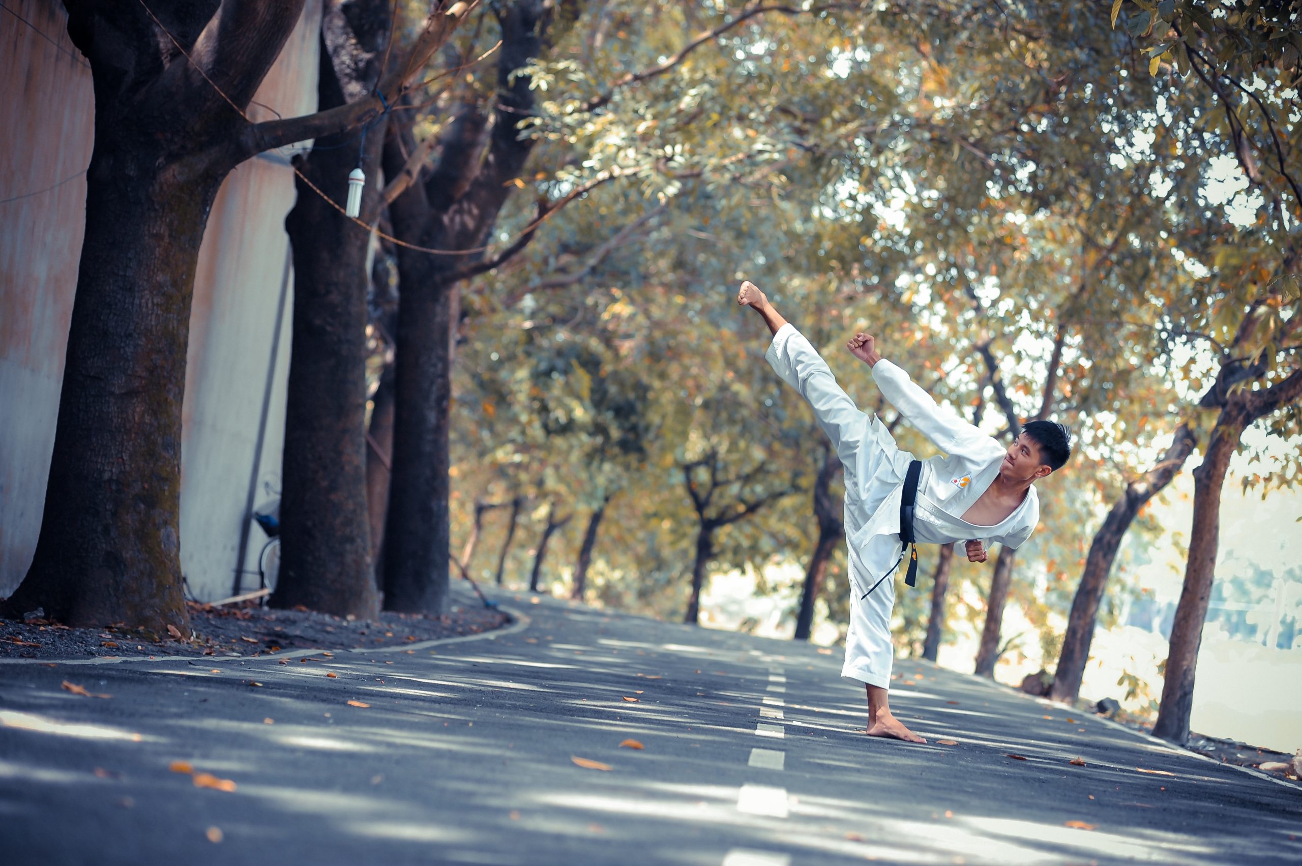 The Karate Kid: A Comprehensive Guide To The Film Series The Karate Kid: A Comprehensive Guide To The Film Series