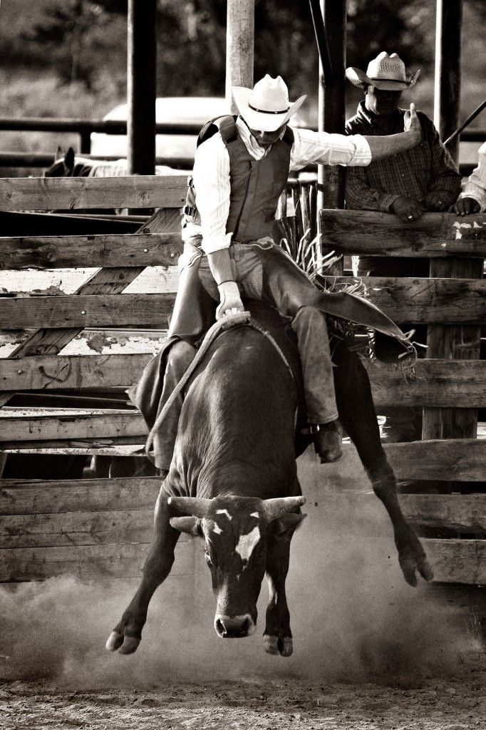 The Last Rodeo Movie Review: Is It Worth Watching? The Last Rodeo Movie Review: Is It Worth Watching?