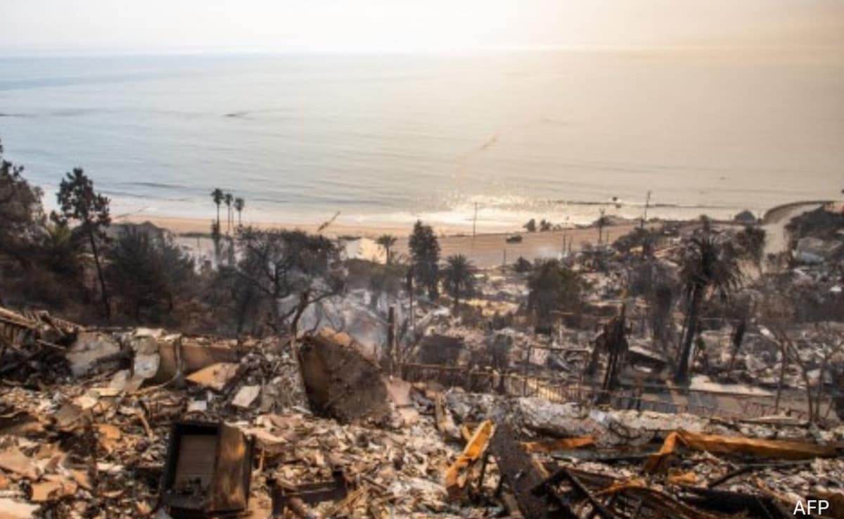The Perils Of Predictability: Analyzing The Betting Odds On The Los Angeles Wildfires The Perils Of Predictability: Analyzing The Betting Odds On The Los Angeles Wildfires