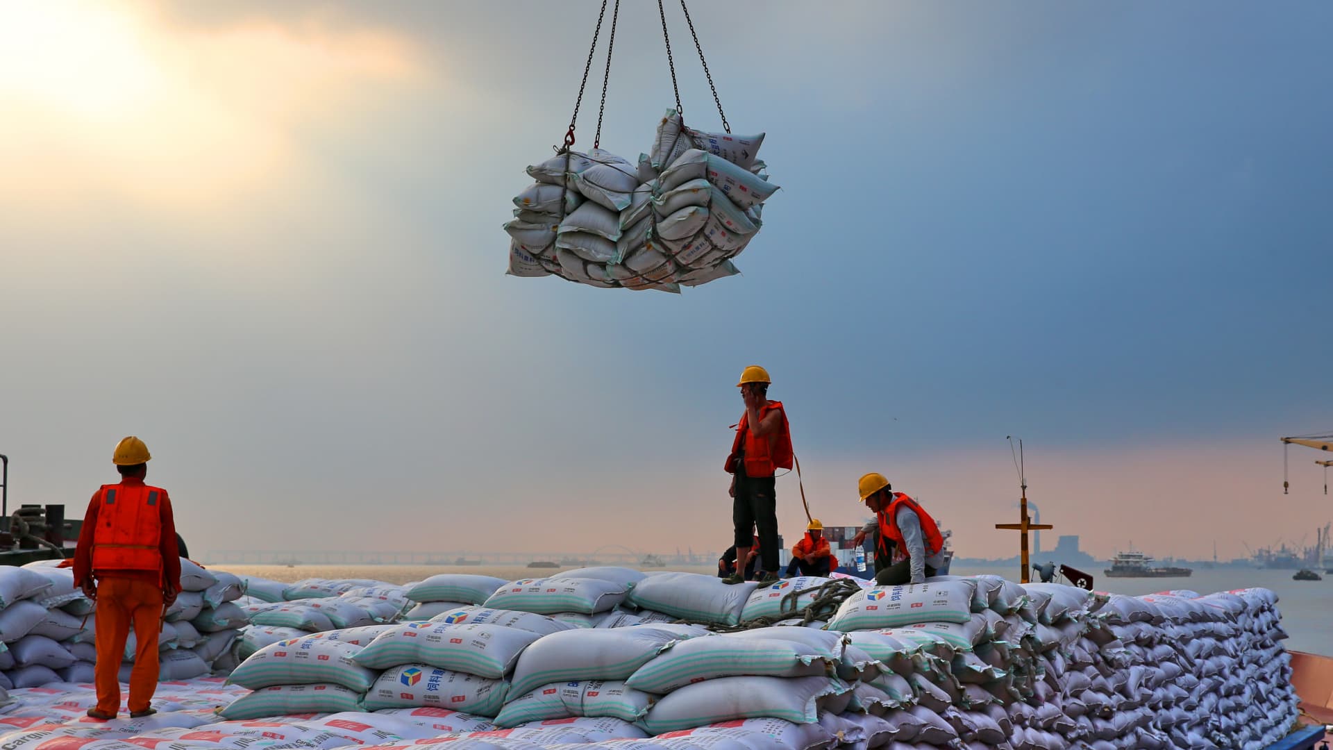 The Significance Of Sinograin's Imported Soybean Auction In China The Significance Of Sinograin's Imported Soybean Auction In China