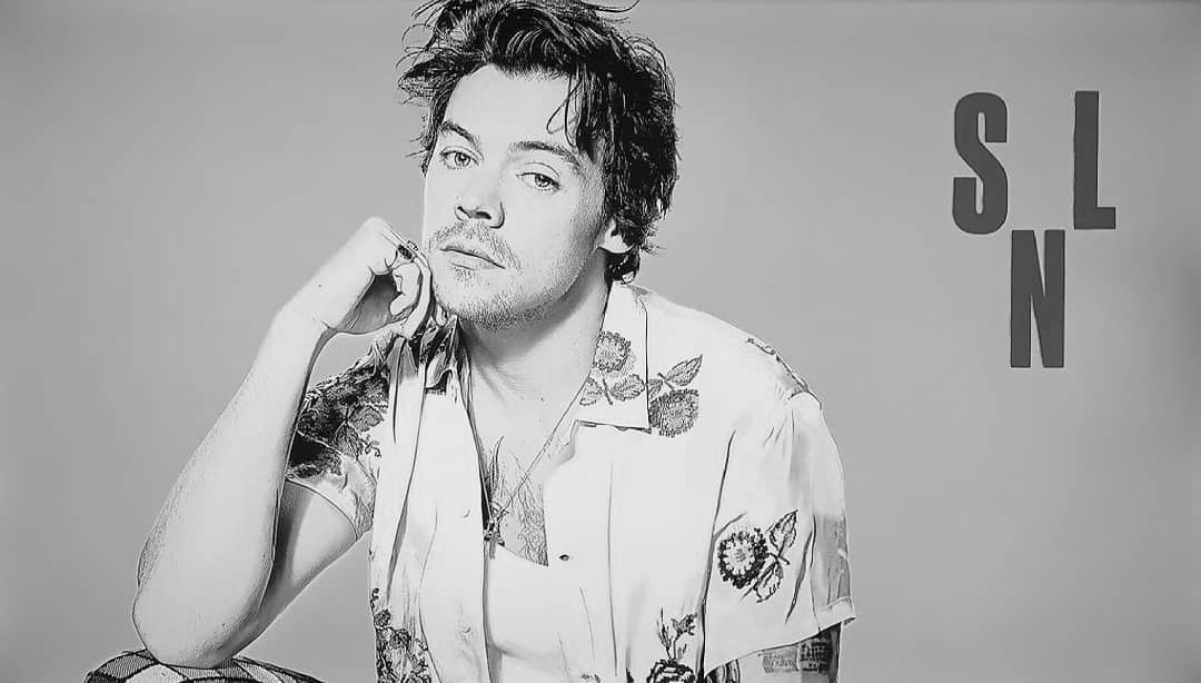 The SNL Impression That Left Harry Styles Heartbroken The SNL Impression That Left Harry Styles Heartbroken