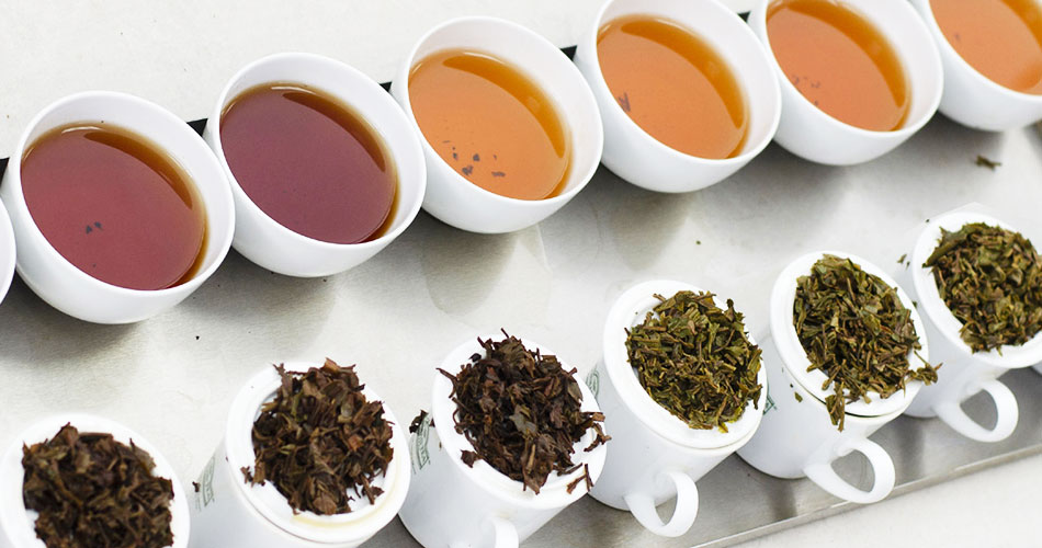 The Sustainability Of Darjeeling Tea: Examining Current Concerns The Sustainability Of Darjeeling Tea: Examining Current Concerns