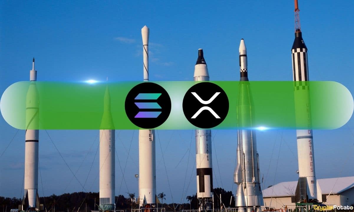 The Trump Effect: How An XRP Endorsement Impacts Institutional Investors The Trump Effect: How An XRP Endorsement Impacts Institutional Investors
