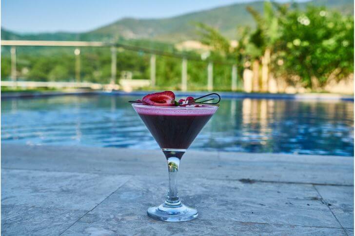 The Ultimate Guide To C. Cassis Blackcurrant: Production, Taste, And Uses The Ultimate Guide To C. Cassis Blackcurrant: Production, Taste, And Uses