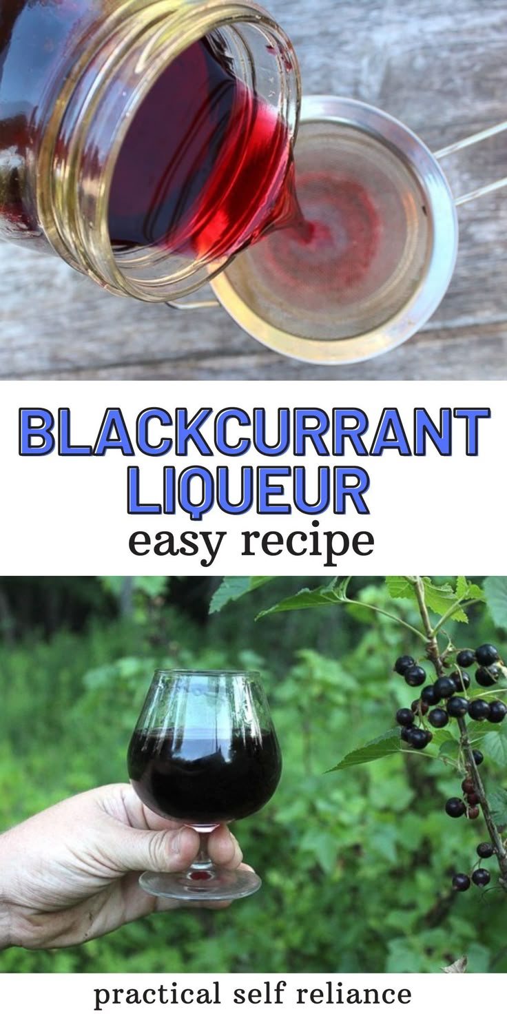The Versatile Uses Of Cassis Blackcurrant In Cocktails And Cuisine The Versatile Uses Of Cassis Blackcurrant In Cocktails And Cuisine