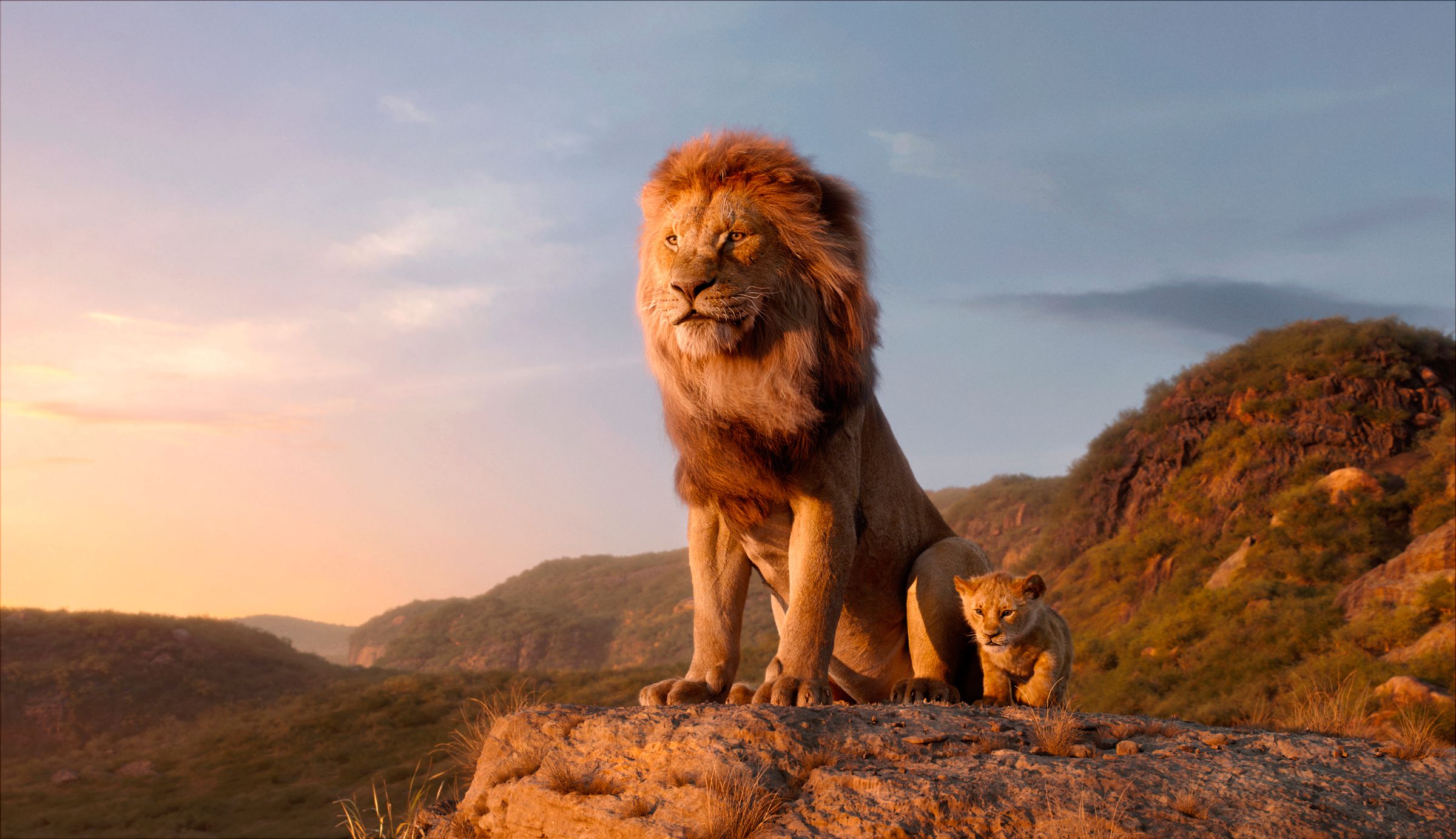 Tim Rice's New Lion King Project: Land Of Sometimes Tim Rice's New Lion King Project: Land Of Sometimes