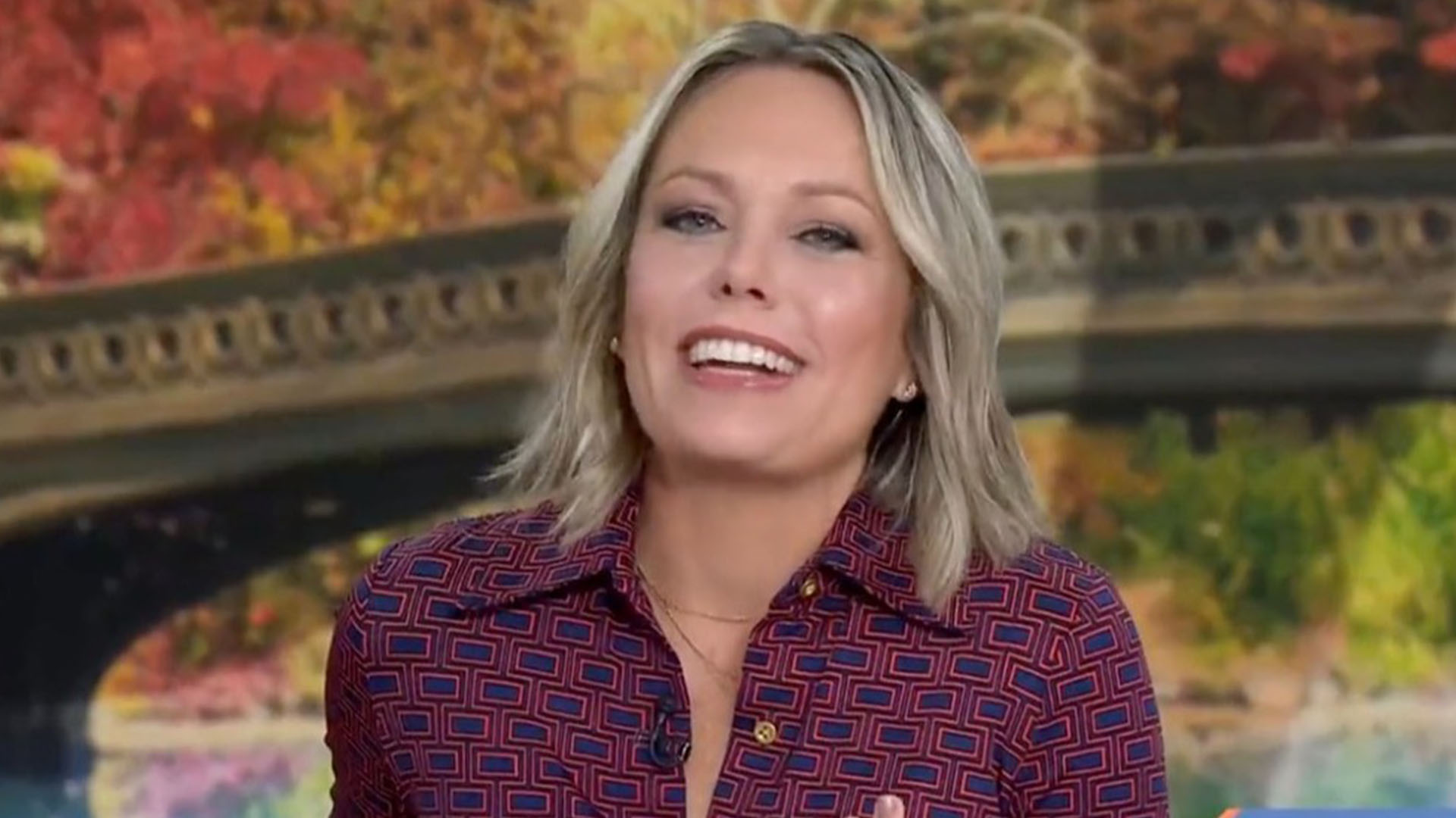 Today Show Host Dylan Dreyer: The Unexpected Obstacle She Faced Today Show Host Dylan Dreyer: The Unexpected Obstacle She Faced