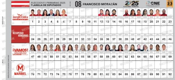 Todo Sobre Las Primarias Del CNE En 2025 Todo Sobre Las Primarias Del CNE En 2025