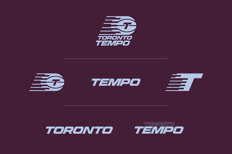 Toronto Tempo: Positive Developments Indicate Strong WNBA Future Toronto Tempo: Positive Developments Indicate Strong WNBA Future